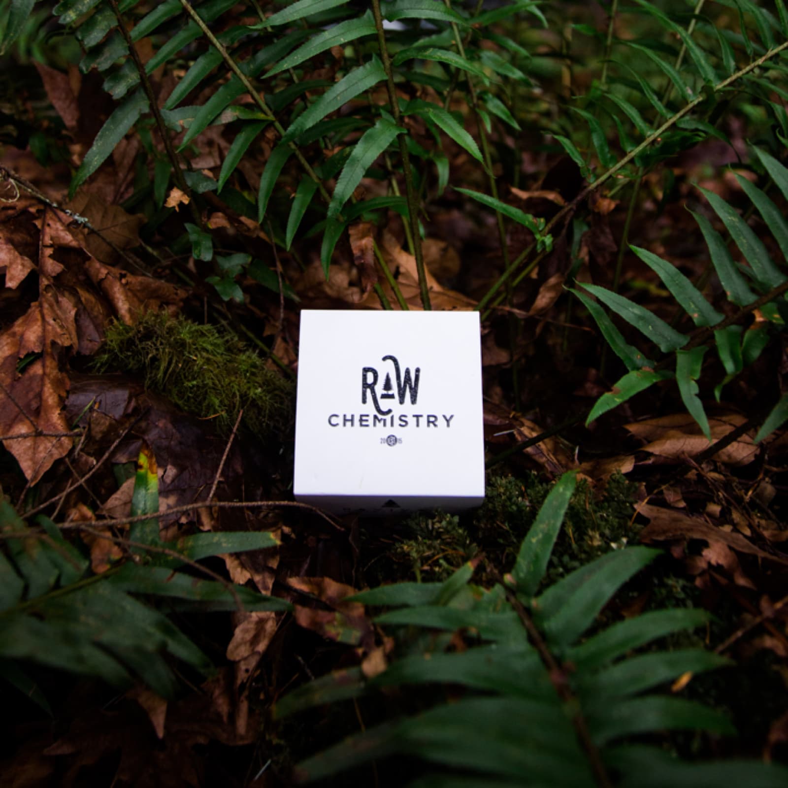 rawchemistry box in leaves