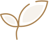 icon of leaf